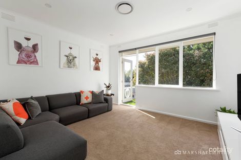 Property photo of 6/23 Aintree Road Glen Iris VIC 3146