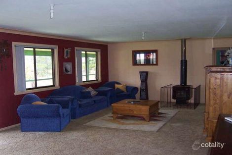 Property photo of 1242 Collombatti Road Collombatti NSW 2440