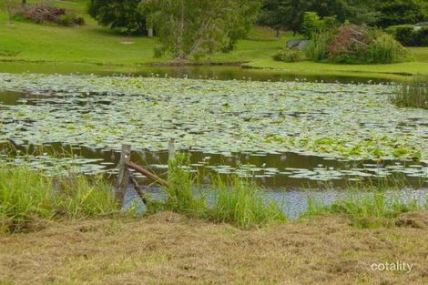 Property photo of 189 Ayrshire Park Drive Boambee NSW 2450