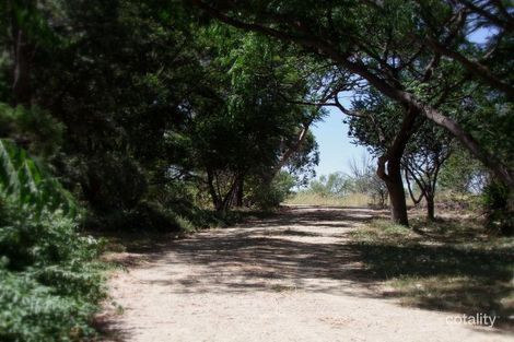 Property photo of 24 Queen Street Jerrys Plains NSW 2330