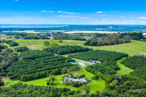 Property photo of 271 Alcorn Road Knockrow NSW 2479