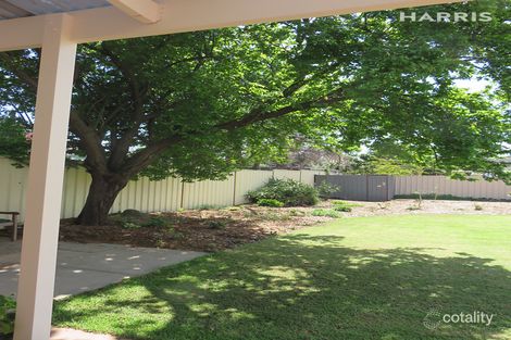 Property photo of 7 Cross Street West Hindmarsh SA 5007