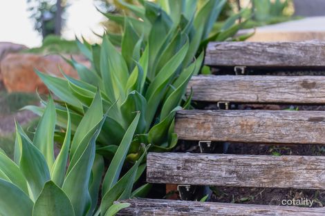 Property photo of 23 Kingsview Drive Flaxton QLD 4560