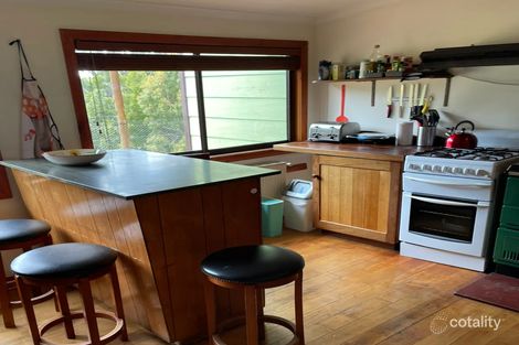 Property photo of 1184 Elephant Pass Road Gray TAS 7215