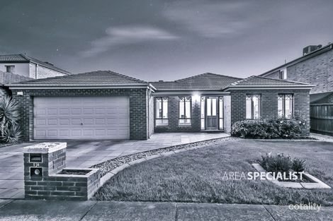 Property photo of 14 Atlantis Court Aspendale Gardens VIC 3195