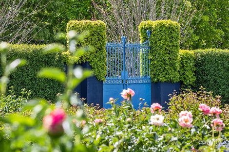 Property photo of 239 Arthurs Seat Road Red Hill VIC 3937