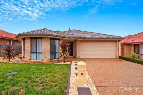 Property photo of 7 Heatherdale Street Amaroo ACT 2914