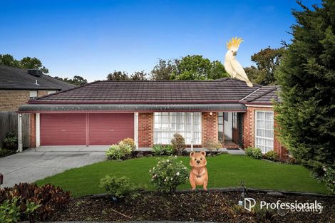 169 Karoo Rd, Rowville, VIC 3178