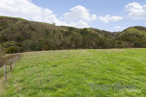 Property photo of 82 Mount Magnificent Road Mount Magnificent SA 5210