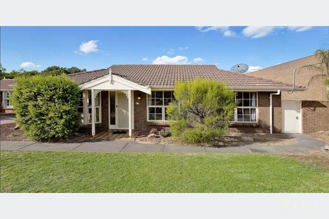 Property photo of 11/11 Cross Street Lockleys SA 5032