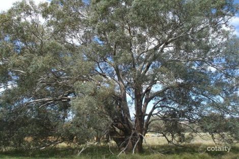 Property photo of 2187 Euchareena Road Euchareena NSW 2866