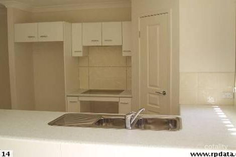 Property photo of 24 Southern Lights Drive Pimpama QLD 4209