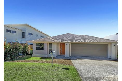 36 Woodrose Cct, Pimpama, QLD 4209