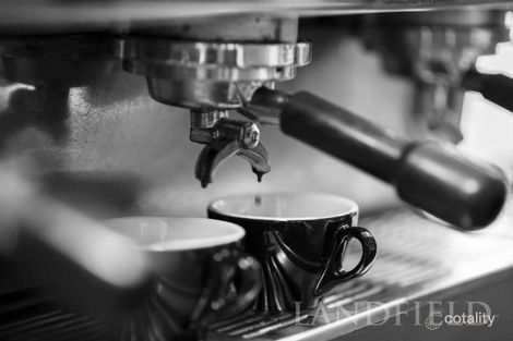 Property photo of 10 Valepark Drive Donvale VIC 3111