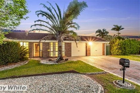 Property photo of 31 Marlene Street Murrumba Downs QLD 4503