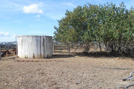 Property photo of 365 Nicholson Road Alton Downs QLD 4702