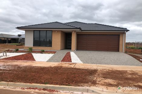 17 Coral St, Cobblebank, VIC 3338