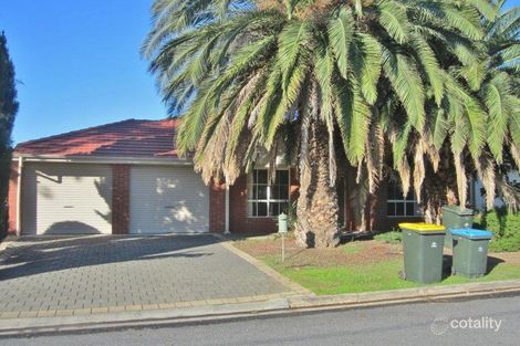 1e Curtis St, Hectorville, SA 5073