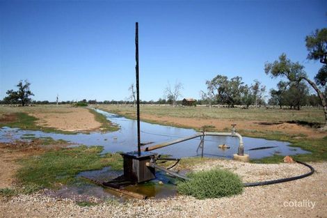 7856 Carinda Rd, Gungalman, NSW 2829