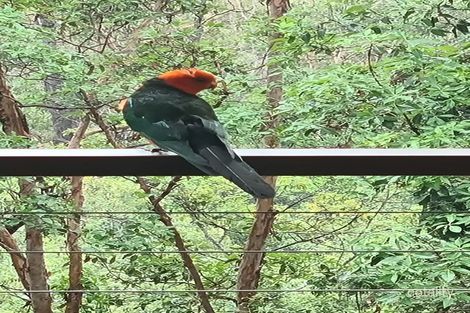 65 Waterhousia Pl, Moggill, QLD 4070