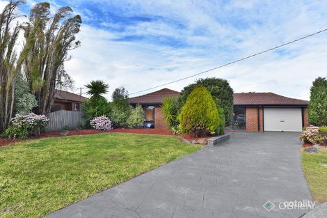 Property photo of 3 Molland Court Craigieburn VIC 3064