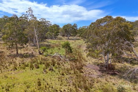 Property photo of 2515 Nullo Mountain Road Nullo Mountain NSW 2849