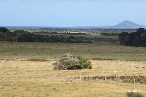 568 Lady Barron Rd, Ranga, TAS 7255