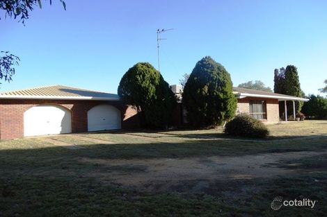 Property photo of LOT 100 Sommerfeld Crescent Chinchilla QLD 4413