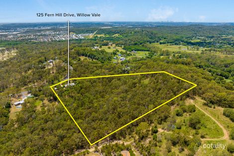 Property photo of 125 Fern Hill Drive Willow Vale QLD 4209