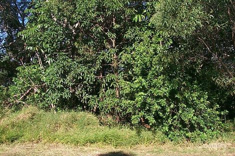 26 Yarrong Rd, Point Lookout, QLD 4183