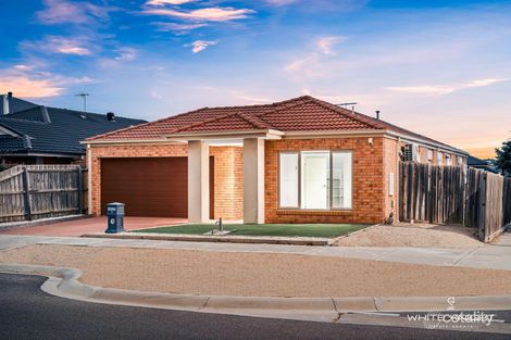 Property photo of 5 Royale Drive Fraser Rise VIC 3336