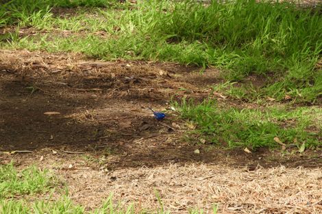 45 Vezey Rd, Meelon, WA 6208