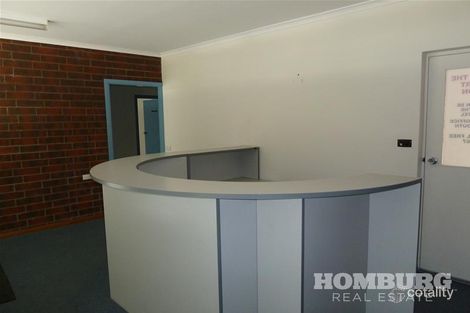 49 Murray St, Nuriootpa, SA 5355