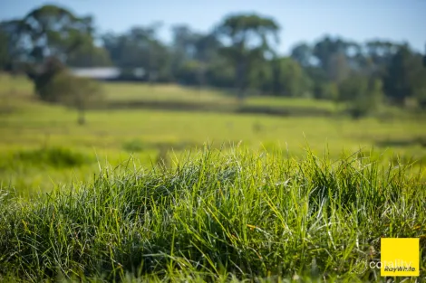 Property photo of 50 Bucketts Road Gloucester NSW 2422
