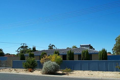 19 Cutter Cres, Beldon, WA 6027