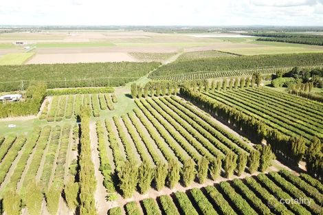 84 Pashleys Rd, Welcome Creek, QLD 4670