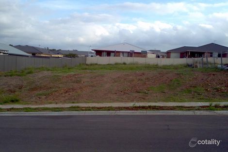 41 Finnegan Cres, Muswellbrook, NSW 2333