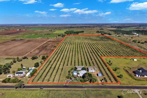 233 Back Springfield Rd, Woongarra, QLD 4670