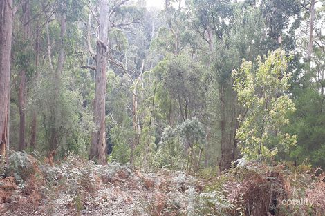 Property photo of 1706 Frankford Road Frankford TAS 7275