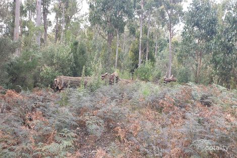 Property photo of 1706 Frankford Road Frankford TAS 7275