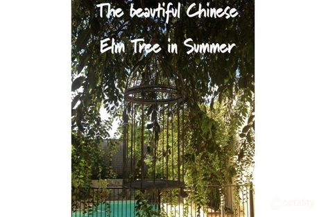 Property photo of 13 Columbus Boulevard Wandina WA 6530