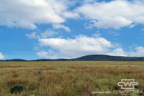 989 South Valley Rd, Rocky Creek, NSW 2371