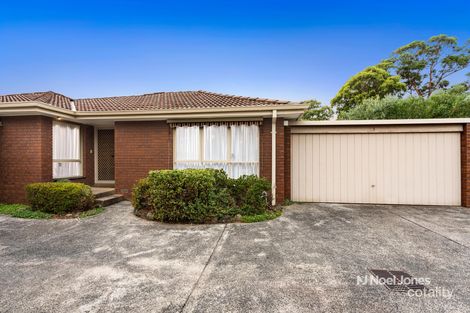 3/235-237 Blackburn Rd, Blackburn South, VIC 3130