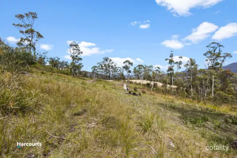 Property photo of 41 Grovenor Rise Grove TAS 7109