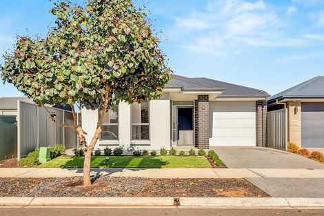 18 Edmund Ave, Virginia, SA 5120