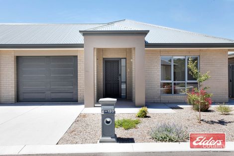 4/120 Menge Rd, Tanunda, SA 5352