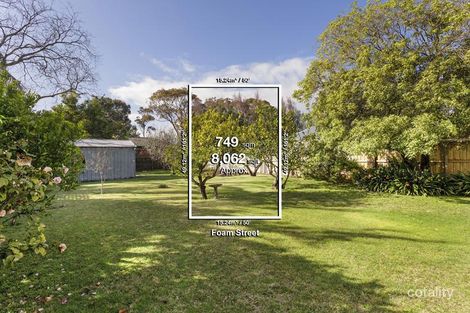 Property photo of 16 Foam Street Hampton VIC 3188