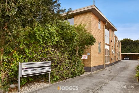 8/50 Trevelyan St, Elsternwick, VIC 3185