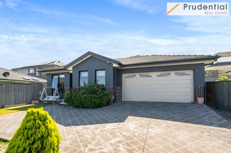 41 Pendergast Ave, Minto, NSW 2566