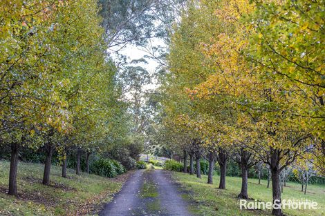 Property photo of 115C Jarretts Lane Kangaroo Valley NSW 2577